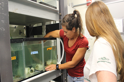 Undergraduate research assistant Gabrielle performing lab duties 